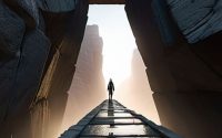 Career-Transition Entropy Management stabilizing the leap.