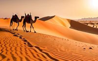 History of the silk road trade routes.