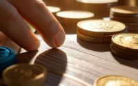 What to do with a small windfall guide.